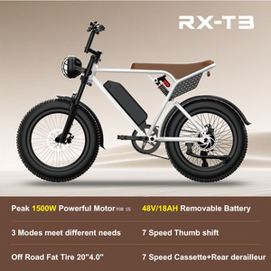 Fatbike électrique RX-T3 X9PRO, entrepôt Australie NSW, pneus électriques 20x4.0, vélo électrique, E-bike - Product Image 5