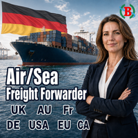 Agent d'expédition DDP porte-à-porte Chine-USA, Allemagne, Europe – Transitaire maritime et aérien LCL FBA – Service de logistique et d'expédition