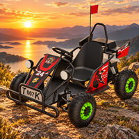 Kart électrique tout-terrain haute performance 60V 20Ah avec frein à disque hydraulique et suspension indépendante pour piste de terre