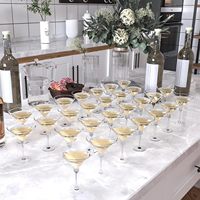 Verres à Martini et Margarita en plastique 5 oz – Mini coupes à cocktail jetables parfaites pour les fêtes estivales, anniversaires, mariages, et événements au bord de la piscine