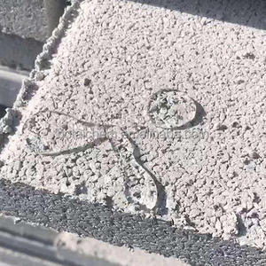 Waterproofing <strong>Admixture</strong> Highly Efficient Silane-based Hydrophobic Agent Silicone Water Repellent Powder Waterproof <strong>Concrete</strong> - Product Image 3