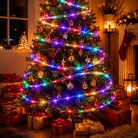 Lampes à tube LED, lampe de fête, lanterne de vacances, décoration extérieure, guirlande lumineuse alimentée par USB, lumières de Noël