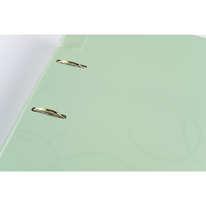 Bán buôn tùy chỉnh màu xanh 4 lỗ D-<span class=keywords><strong>Ring</strong></span> Nhựa Pp A4 trong suốt bảo vệ tấm đòn bẩy thư mục vòm. - Product Image 3