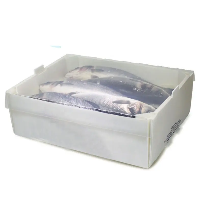 Plastic Corflute Seafood Shipping Container Live Fish Shipping Box