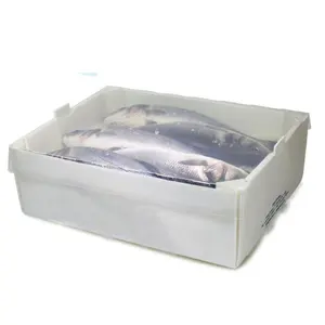 Caixa de transporte de peixes vivos para transporte de frutos do mar de plástico Corflute