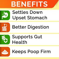 Supplément nutritionnel pour animaux de compagnie à base de poudre de citrouille naturelle riche en fibres, pour la digestion, emballage en bouteille, OEM/ODM
