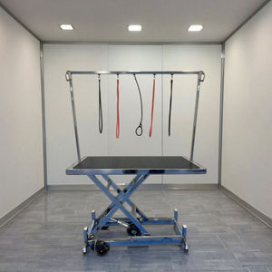 Mesa de Tosa Elétrica Dobrável de Fábrica Mesa Simples para Tosa de Animais Mesa para Cuidados com Cães - Product Image 4