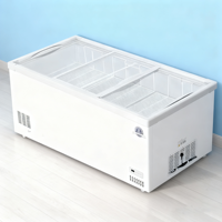 Offre Spéciale d'usine litre différent maison mini réfrigérateur d'aliments frais réfrigérateur congélateur maison réfrigérateurs hôtel mini réfrigérateur