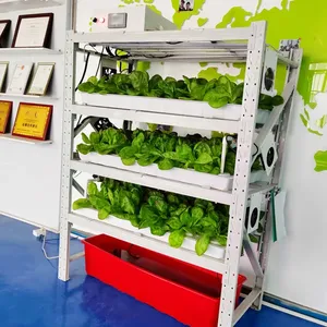 Sistema de cultivo hidrofonico Sistema de cultivo de granja micro verde de plástico móvil para lechuga y Chile con bandejas de Pvc y luces de cultivo - Product Image 6