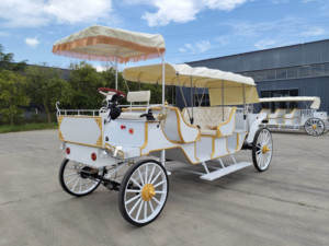 Nuevo Modelo de Carroza Turística Blanca de 5 Plazas con Toldo, Alto Rendimiento y Estabilidad para Bodas y Recorridos Turísticos - Product Image 5