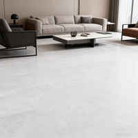 Carreaux de sol en porcelaine rustique antidérapants 600x600 avec finition mate