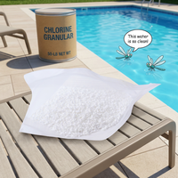 E20260805 Traitement chimique granulaire personnalisable pour piscines, destiné à l'exportation en vrac