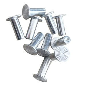 Rivets en aluminium <span class=keywords><strong>de</strong></span> fer d'acier inoxydable <span class=keywords><strong>de</strong></span> longue durée <span class=keywords><strong>de</strong></span> <span class=keywords><strong>vie</strong></span> <span class=keywords><strong>de</strong></span> best-seller pour la condition d'assemblage <span class=keywords><strong>de</strong></span> patin <span class=keywords><strong>de</strong></span> frein nouveau - Product Image 1