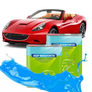 washinta Professional Use Car Repair Product Aerosol Spray clear coat