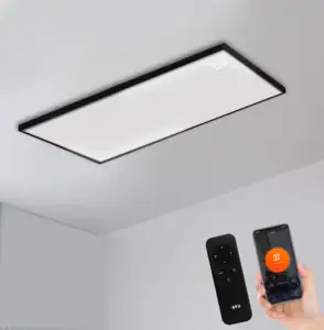 Panneau de chauffage infrarouge de plafond 2023 avec lumière infrarouge infrarouge, chauffage de plafond intelligent, chauffage de panneau mural