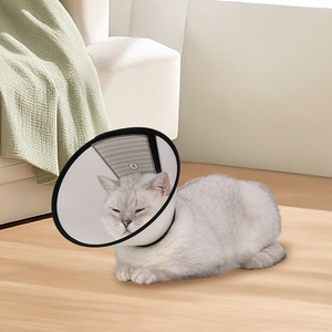 Collar isabelino ecológico moderno de PVC transparente suave ajustable transpirable para gatos y perros recuperación antimordeduras - Product Image 5