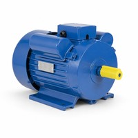 Motor Induksi AC Satu Fasa Seri BIOTE YL 2hp 3hp 5hp 7.5hp 10hp 220V 2P 2800rpm 50hz Gulungan Tembaga untuk Pompa Air