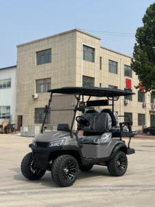 WELIFTRICH Бесплатная доставка: Гольф-кар с увеличенным клиренсом, 4-местный, 2+2 пассажира - Product Image 6