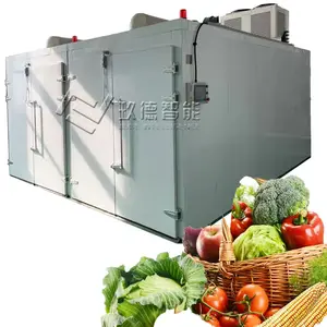 Otomasyon endüstriyel sürekli ticari örgü kemer susuzlaştırma makinesi tarım kurutma sebze susuzlaştırma makinesi