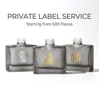 Diffuseur de parfum moderne en verre rectangulaire de 120 ml avec bâtonnets |   Flacon de parfum vide de luxe avec bouchon à vis |   Frost Custom Crack