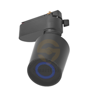 Sistem Lampu Rel Magnetik 20mm dengan Speaker Bluetooth, Konektivitas Nirkabel, Speaker Lampu Rel DC48V, Audio Rel Rumah Pintar