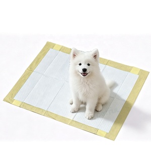 Tapis d'apprentissage jetables pour chiens à prix abordable, super absorbants, épais, anti-fuites et hygiéniques pour chiens et chats - Product Image 1