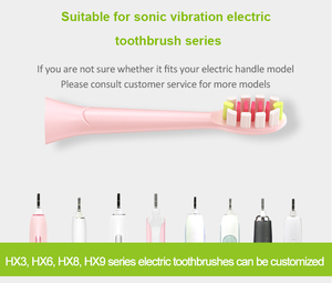 Têtes de brosse à dents de rechange DuPont à poils souples, vente en gros d'usine, pour brosse à dents électrique sonique Y1, usage hôtelier et domestique, 1 an - Product Image 3