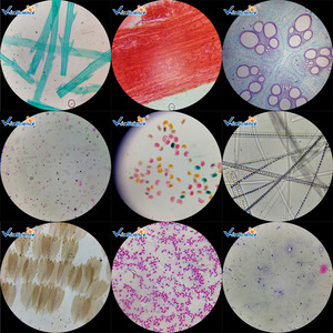 Blue plastic biological slides, children's special animal series set, primary and secondary school <b>microscopic</b> slides. - Product Image 1