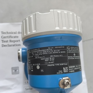 สวิตช์วัดระดับแบบส้อมสั่น Endress Hauser Liquiphant FTL51B เกจวัดระดับแบบส้อมสั่น FTL51B สวิตช์วัดระดับแบบจุดสำหรับทุกสื่อ Liquip - Product Image 6