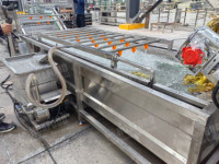 Ligne de machines automatiques de rinçage de cornichons pour la production de légumes déshydratés - Offre Spéciale
