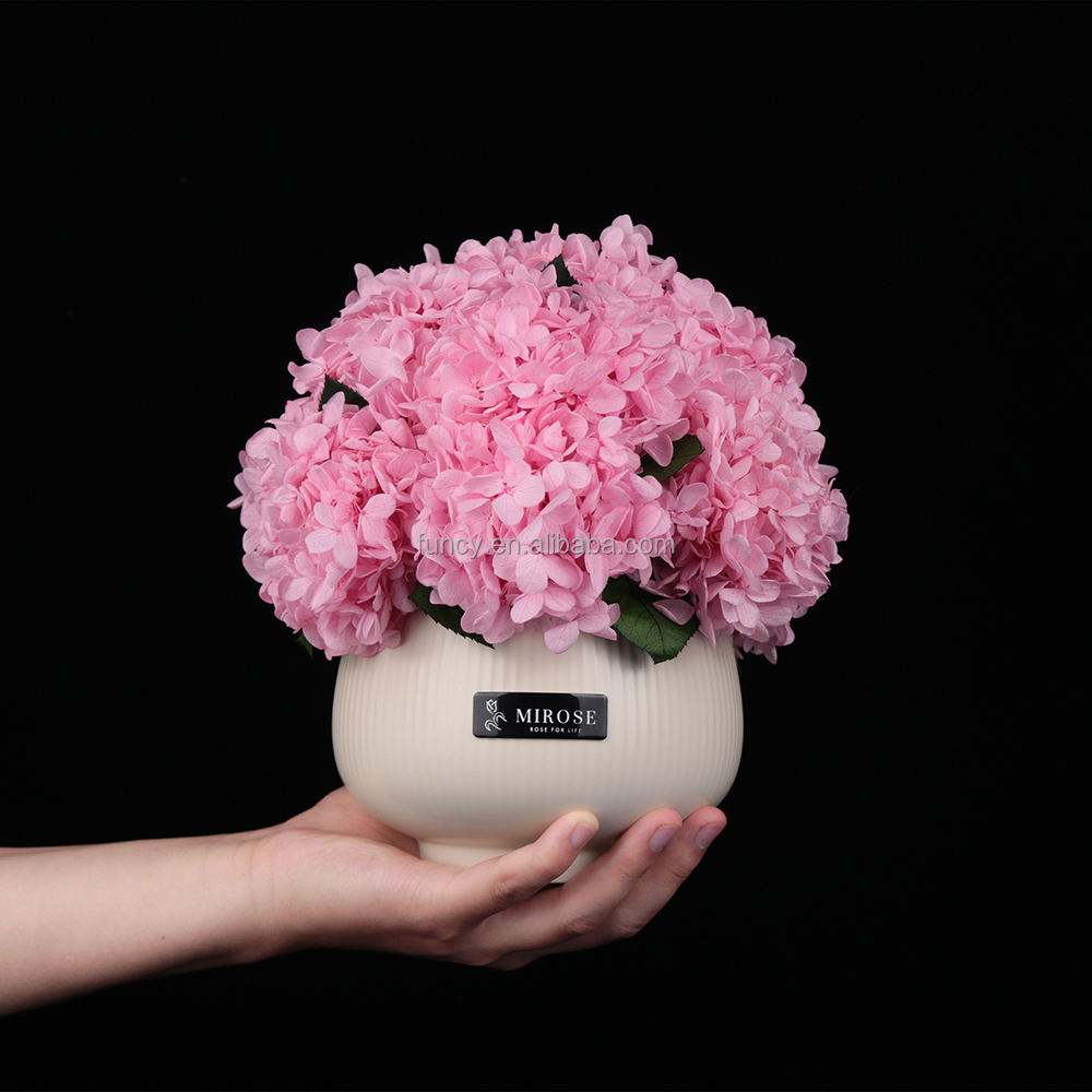 ortensia rosa chiaro