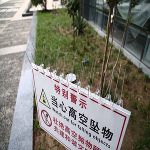 Nouveau dispositif de contrôle des oiseaux, pointes <span class=keywords><strong>anti</strong></span>-pigeons en plastique - Product Image 5