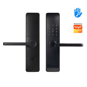 दालटन कारखाना घरेलू उपयोग के लिए अनुकूलन योग्य उंगलियों के निशान और स्मार्ट फिंगरप्रिंट लॉक के साथ सुरक्षा उत्पादों की प्रत्यक्ष बिक्री - Product Image 1