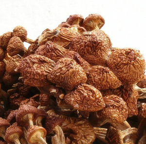 หัว Zi Gu Nameko เห็ดแห้งที่กินได้สำหรับอาหาร - Product Image 3