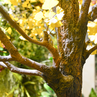 Arbres artificiels en plastique, fausse plante en pot pour décoration de bureau, grands arbres artificiels d'extérieur