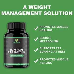 OEM/ODM Fat Burner Capsules for Men Women Night Time Formula Pure Ingredients Muscle Preservation Fat Loss for Pregnant Women 2 - Product Image 3