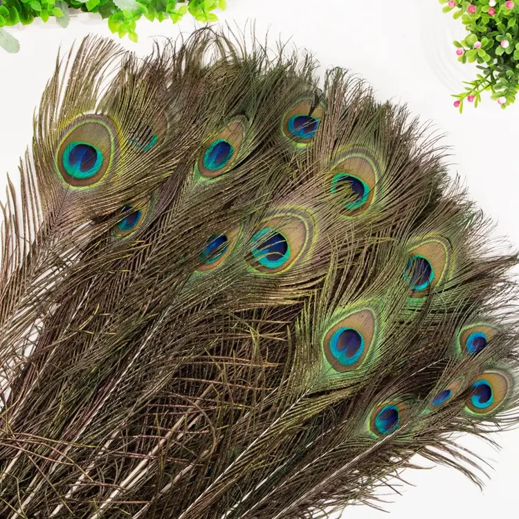 Plumas de cola de pavo real largas naturales, ojo grande, barato, venta al por mayor