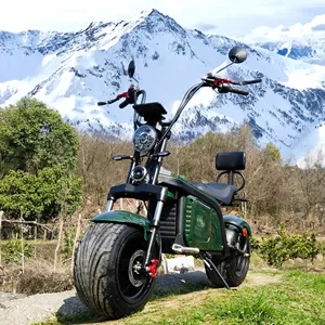 Üç tekerlekli bisiklet 3 tekerlekli 2 tekerlekli katlanabilir benzin ve elektrikli scooter