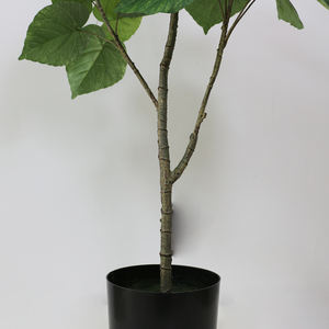 Décoration d'intérieur du fabricant Real Touch Ficus <span class=keywords><strong>Umbellata</strong></span> artificiel pour chambre - Product Image 3