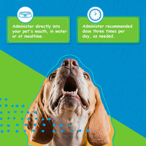 Suplementos para el cuidado de la salud de mascotas, gota líquida para el cuidado digestivo, sensibilidad gastrointestinal, heces blandas repetidas e indigestión - Product Image 5