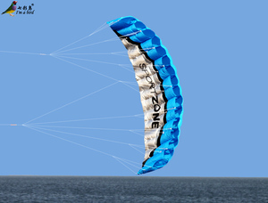 Cerf-volant de Sport à 2 lignes de 2.5m, nouveau design - Product Image 3