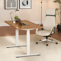 Bureau assis-debout ergonomique moderne de luxe à double moteur et 3 niveaux, en acier durable, pour la maison et le bureau