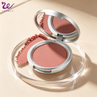Palette de Fards à Joues Waterproof en Boîtier Argenté, Marque Privée, Végane, Haute Pigmentation, Fini Naturel, Logo Personnalisé, Vente en Gros pour le Visage