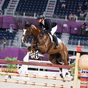 Nouveaux obstacles d'équitation élégants en aluminium, durables, de style western, équipement de saut en PVC imperméable - Product Image 4