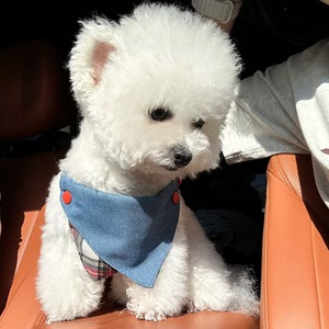 مستلزمات الحيوانات الأليفة، باندانا أنيقة للكلاب، ملابس للحيوانات الأليفة، منديل للفم للقطط، إكسسوارات للحيوانات الأليفة - Product Image 3