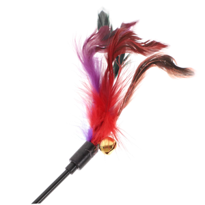 Bâtonnet à chat avec ressort, plume et clochette, tête de remplacement amovible, jouet durable pour chat, baguette à chat - Product Image 6