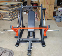 Équipement de fitness pour l'exercice latéral du dos Deltoïdes d'aviron Machine de musculation latérale du dos