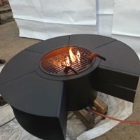 Cheminée décorative de BBQ de table ronde à bois d'allumage automatique de gaz mat populaire moderne