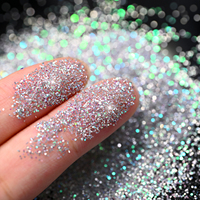 Ensemble de poudre à paillettes holographiques argentées pour ongles, paillettes laser brillantes de tailles variées, poussière de paillettes fines et étincelantes pour la décoration des ongles DIY, manucure