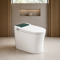 Offre Spéciale – WC intelligent monobloc avec réservoir encastré et bidet électrique, en céramique, pour villas, hôtels, écoles et salles de bain.